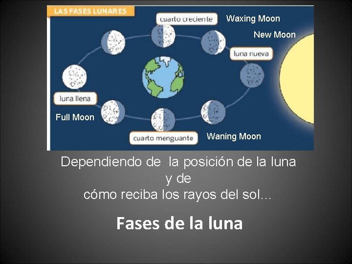 Waxing Moon New Moon Full Moon Waning Moon Dependiendo de la posición de la