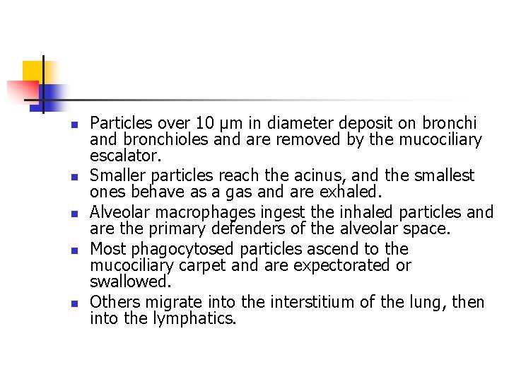 n n n Particles over 10 µm in diameter deposit on bronchi and bronchioles