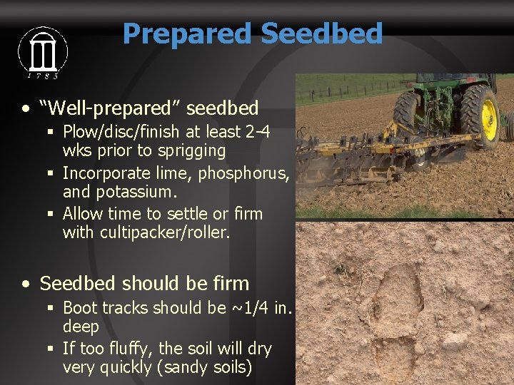 Prepared Seedbed • “Well-prepared” seedbed § Plow/disc/finish at least 2 -4 wks prior to