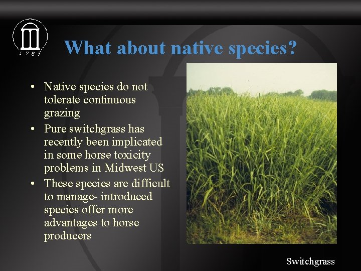 What about native species? • Native species do not tolerate continuous grazing • Pure