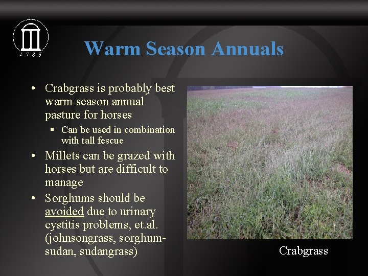 Warm Season Annuals • Crabgrass is probably best warm season annual pasture for horses