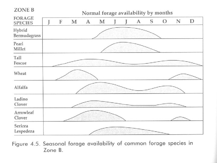 Forage Distribution Slide 