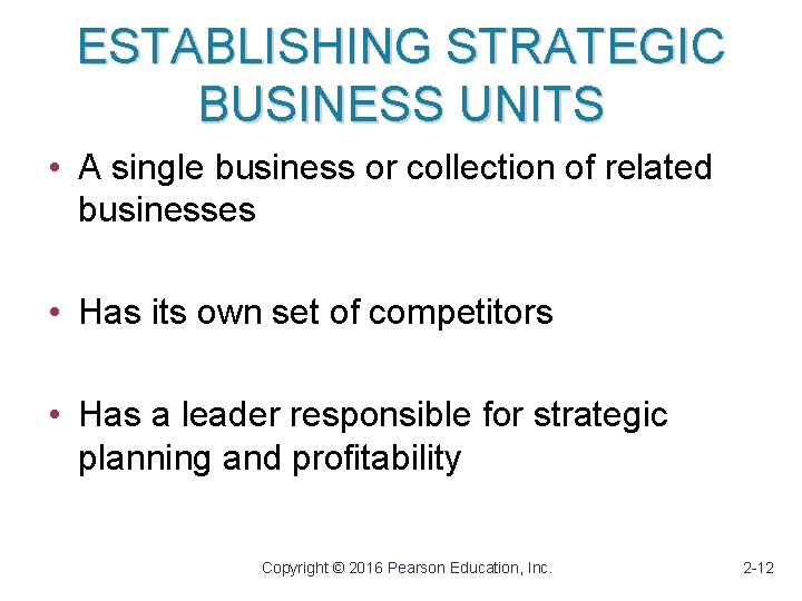 ESTABLISHING STRATEGIC BUSINESS UNITS • A single business or collection of related businesses •