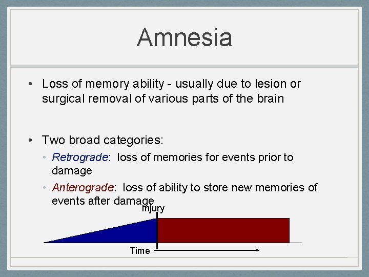 Amnesia • Loss of memory ability - usually due to lesion or surgical removal