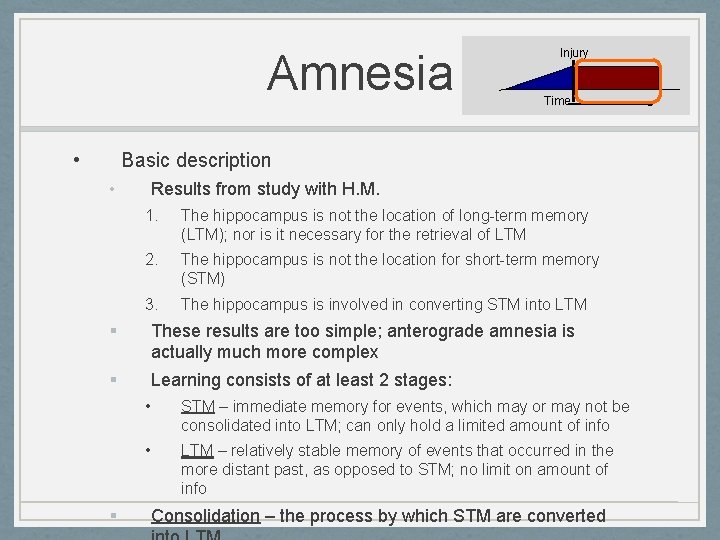 Amnesia • Injury Time Basic description • Results from study with H. M. 1. Amnesia • Injury Time Basic description • Results from study with H. M. 1.