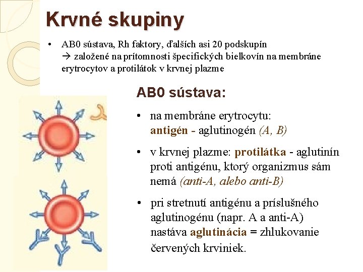 Krvné skupiny • AB 0 sústava, Rh faktory, ďalších asi 20 podskupín založené na