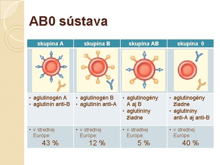 AB 0 sústava skupina A skupina B • aglutinogén A • aglutinín anti-B •