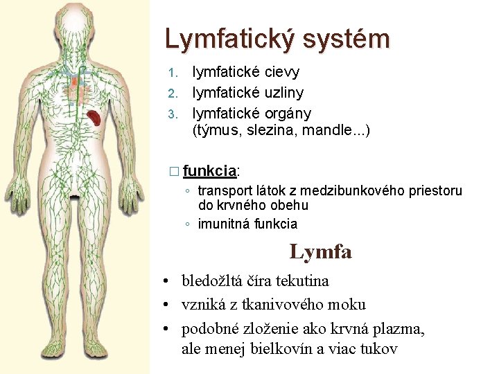 Lymfatický systém lymfatické cievy 2. lymfatické uzliny 3. lymfatické orgány (týmus, slezina, mandle. .