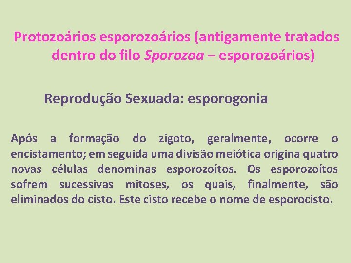Protozoários esporozoários (antigamente tratados dentro do filo Sporozoa – esporozoários) Reprodução Sexuada: esporogonia Após