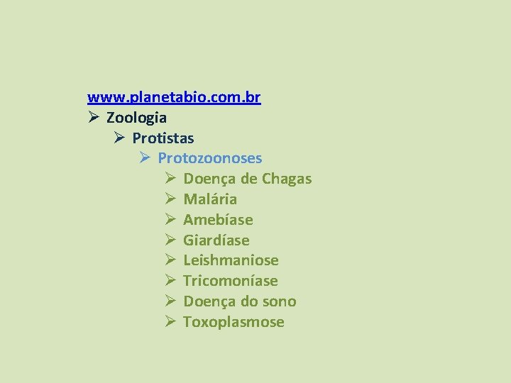 www. planetabio. com. br Ø Zoologia Ø Protistas Ø Protozoonoses Ø Doença de Chagas
