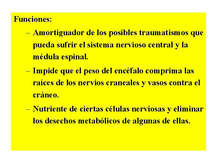 Funciones: – Amortiguador de los posibles traumatismos que pueda sufrir el sistema nervioso central