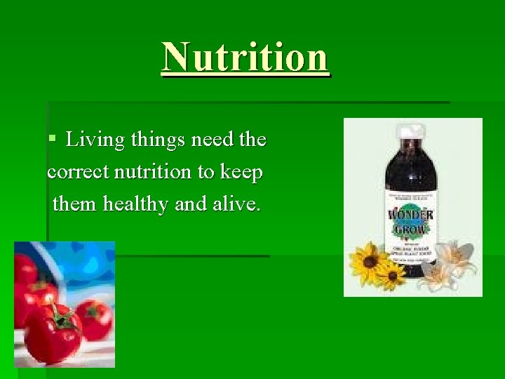 Nutrition § Living things need the correct nutrition to keep them healthy and alive.