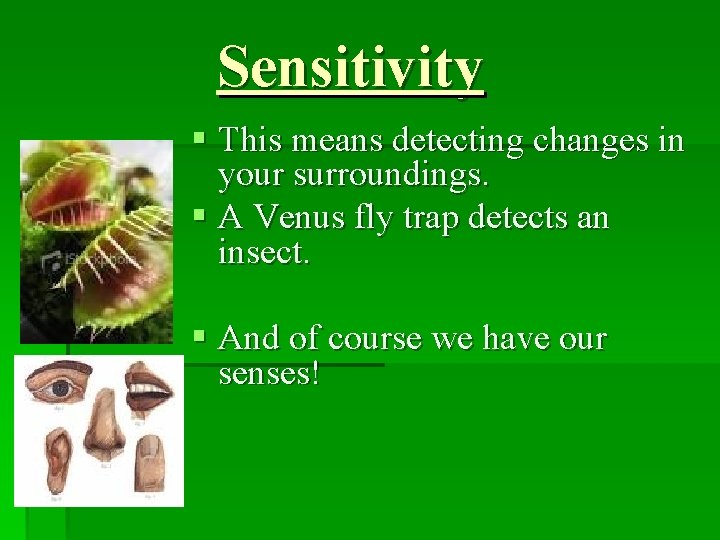 Sensitivity § This means detecting changes in your surroundings. § A Venus fly trap