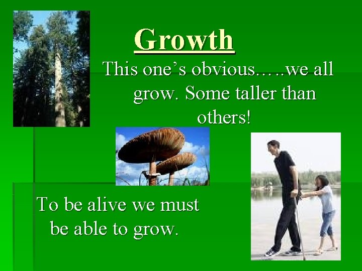 Growth This one’s obvious…. . we all grow. Some taller than others! To be