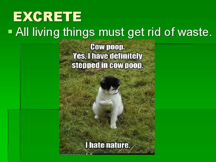 EXCRETE § All living things must get rid of waste. 