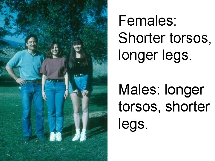 Females: Shorter torsos, longer legs. Males: longer torsos, shorter legs. Females: Shorter torsos, longer legs. Males: longer torsos, shorter legs.