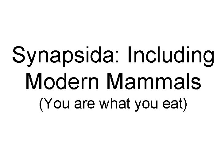 Synapsida: Including Modern Mammals (You are what you eat) Synapsida: Including Modern Mammals (You are what you eat)