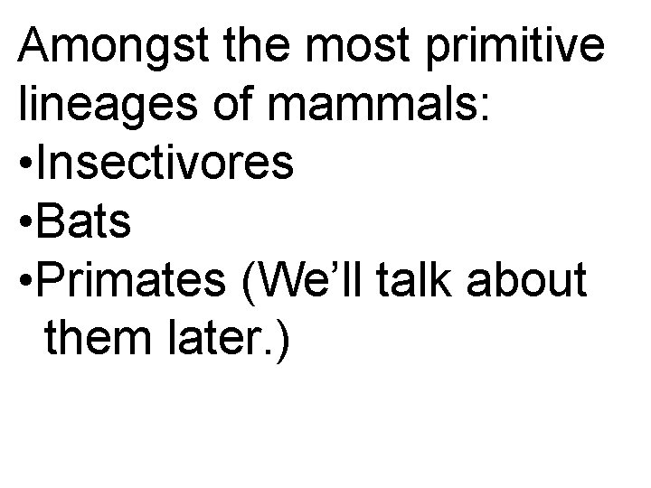 Amongst the most primitive lineages of mammals: • Insectivores • Bats • Primates (We’ll Amongst the most primitive lineages of mammals: • Insectivores • Bats • Primates (We’ll