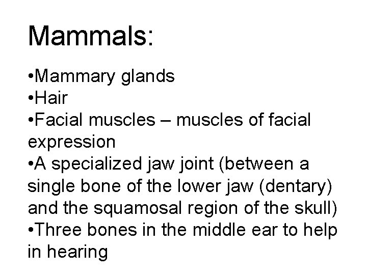 Mammals: • Mammary glands • Hair • Facial muscles – muscles of facial expression Mammals: • Mammary glands • Hair • Facial muscles – muscles of facial expression