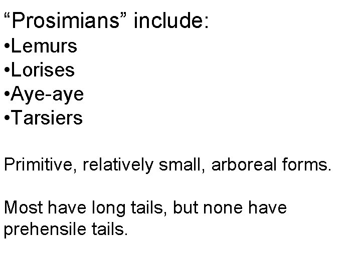 “Prosimians” include: • Lemurs • Lorises • Aye-aye • Tarsiers Primitive, relatively small, arboreal “Prosimians” include: • Lemurs • Lorises • Aye-aye • Tarsiers Primitive, relatively small, arboreal