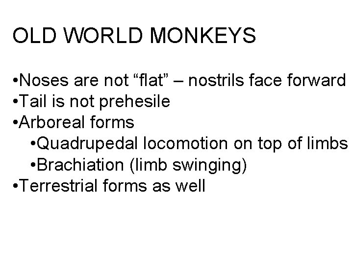 OLD WORLD MONKEYS • Noses are not “flat” – nostrils face forward • Tail OLD WORLD MONKEYS • Noses are not “flat” – nostrils face forward • Tail