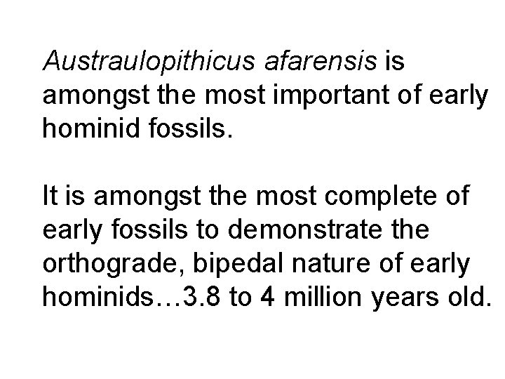 Austraulopithicus afarensis is amongst the most important of early hominid fossils. It is amongst Austraulopithicus afarensis is amongst the most important of early hominid fossils. It is amongst
