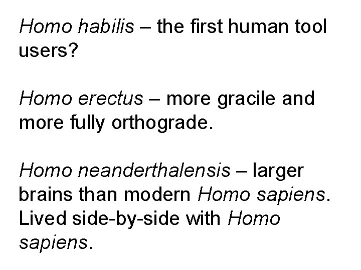 Homo habilis – the first human tool users? Homo erectus – more gracile and Homo habilis – the first human tool users? Homo erectus – more gracile and