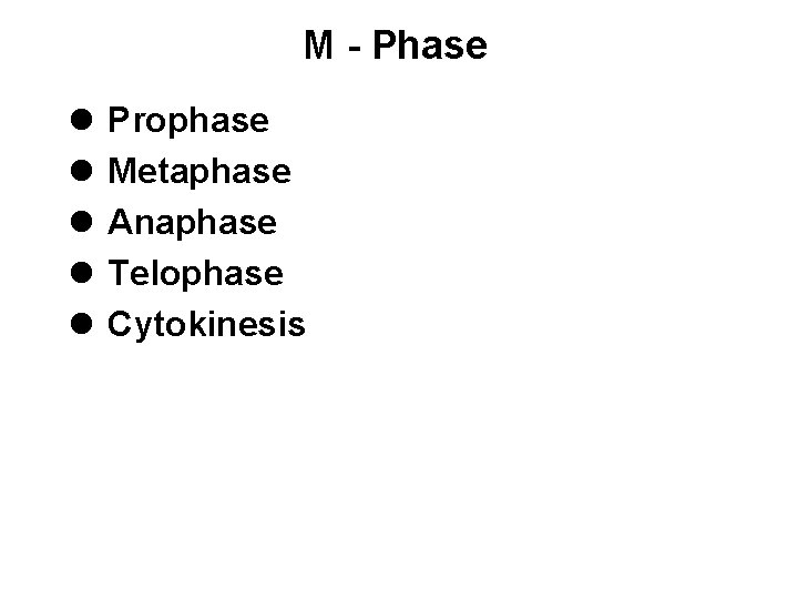 M - Phase l l l Prophase Metaphase Anaphase Telophase Cytokinesis 