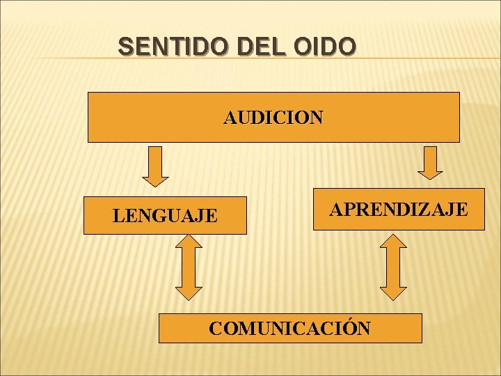 SENTIDO DEL OIDO AUDICION LENGUAJE APRENDIZAJE COMUNICACIÓN 