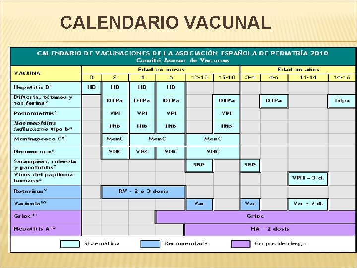 CALENDARIO VACUNAL 