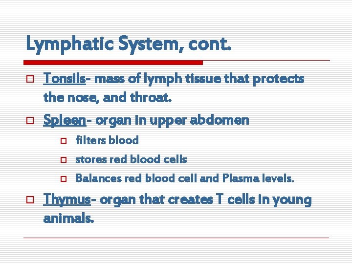 Lymphatic System, cont. o o Tonsils- mass of lymph tissue that protects the nose,