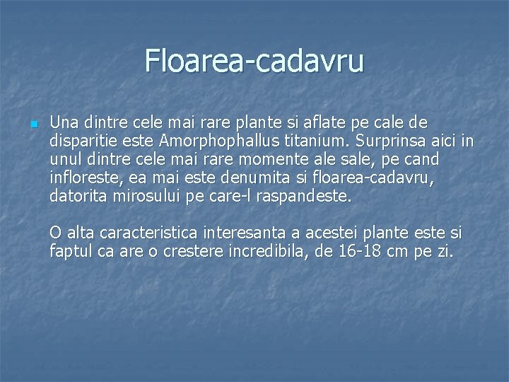 Floarea-cadavru n Una dintre cele mai rare plante si aflate pe cale de disparitie