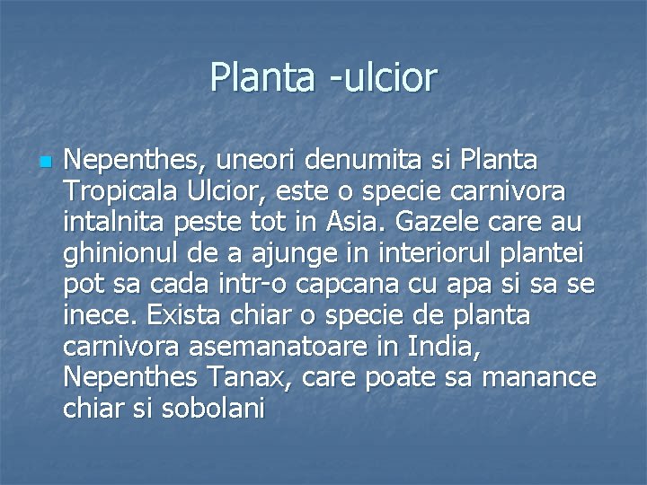 Planta -ulcior n Nepenthes, uneori denumita si Planta Tropicala Ulcior, este o specie carnivora