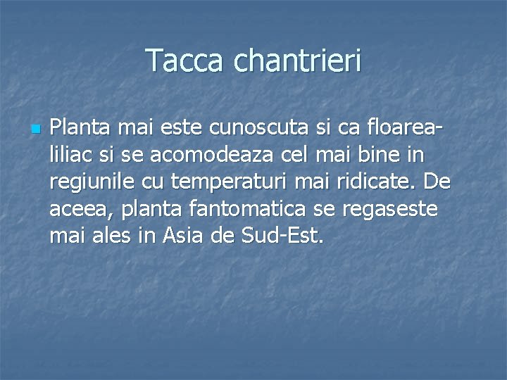 Tacca chantrieri n Planta mai este cunoscuta si ca floarealiliac si se acomodeaza cel