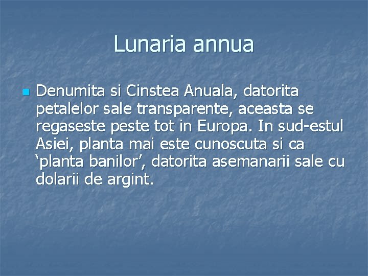 Lunaria annua n Denumita si Cinstea Anuala, datorita petalelor sale transparente, aceasta se regaseste