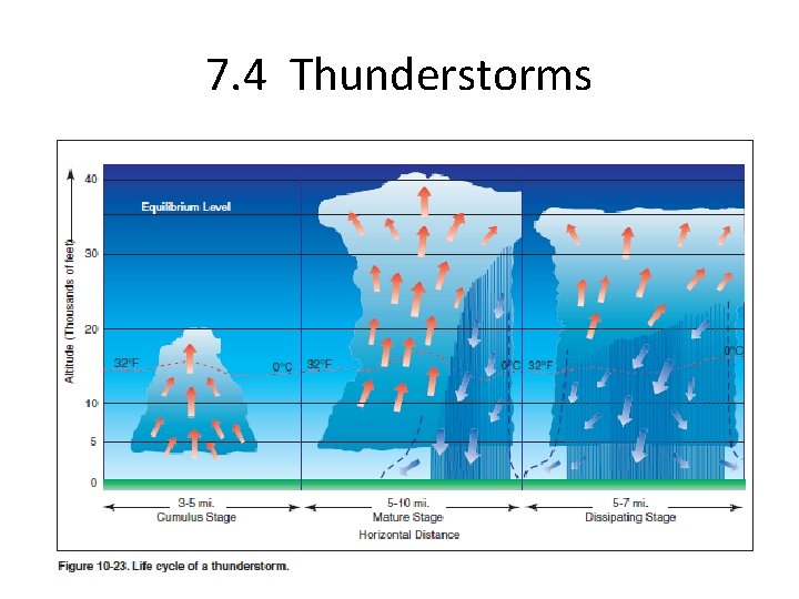 7. 4 Thunderstorms • Thunderstorms have three phases in their life cycle 1. Cumulus: