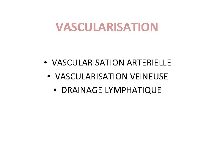 VASCULARISATION • VASCULARISATION ARTERIELLE • VASCULARISATION VEINEUSE • DRAINAGE LYMPHATIQUE 