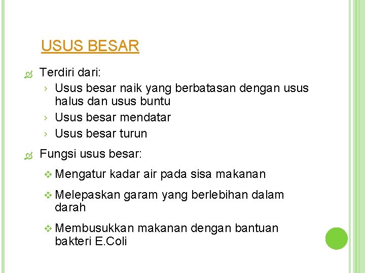 USUS BESAR Terdiri dari: › Usus besar naik yang berbatasan dengan usus halus dan