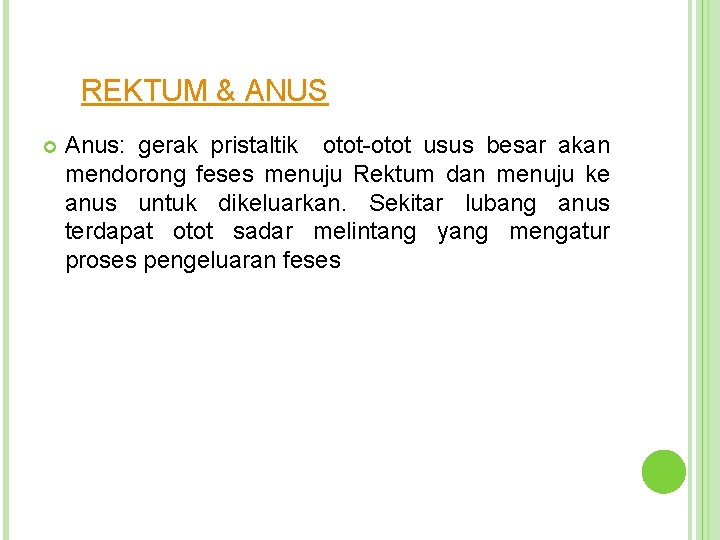 REKTUM & ANUS Anus: gerak pristaltik otot-otot usus besar akan mendorong feses menuju Rektum