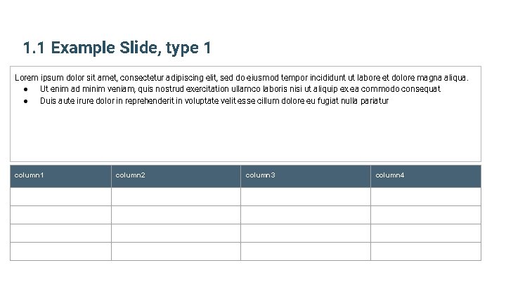 1. 1 Example Slide, type 1 Lorem ipsum dolor sit amet, consectetur adipiscing elit,
