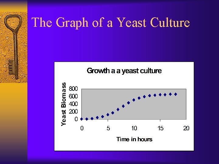 The Graph of a Yeast Culture 