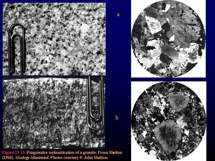 a b Figure 23 -15. Progressive mylonitization of a granite. From Shelton (1966). Geology