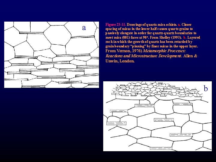 a Figure 23 -11. Drawings of quartz-mica schists. a. Closer spacing of micas in