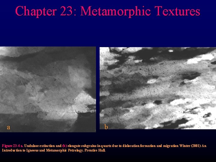 Chapter 23: Metamorphic Textures a b Figure 23 -4 a. Undulose extinction and (b)