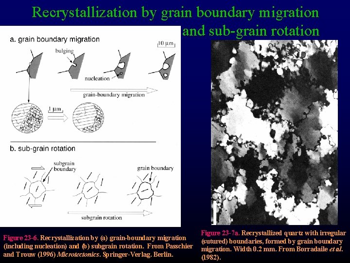 Recrystallization by grain boundary migration and sub-grain rotation Figure 23 -6. Recrystallization by (a)