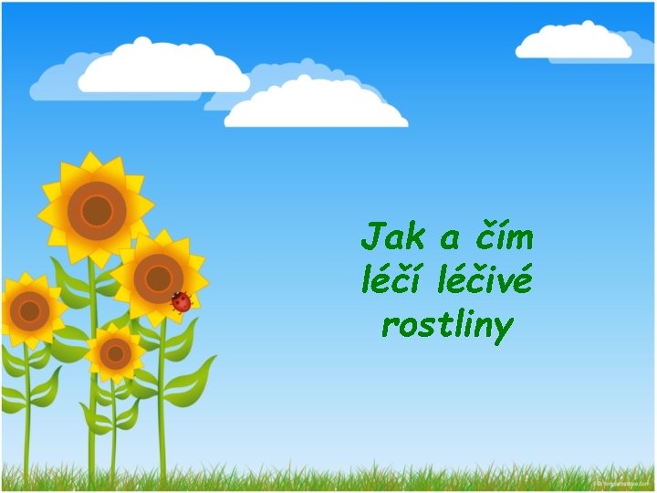 Jak a čím léčí léčivé rostliny 