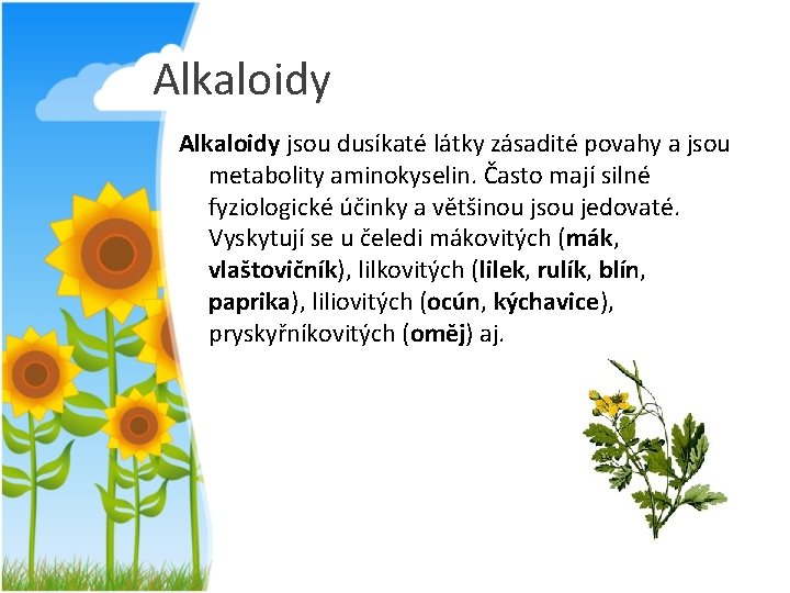 Alkaloidy jsou dusíkaté látky zásadité povahy a jsou metabolity aminokyselin. Často mají silné fyziologické