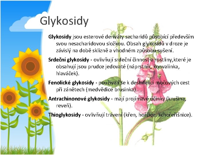 Glykosidy jsou esterové deriváty sacharidů působící především svou nesacharidovou složkou. Obsah glykosidů v droze