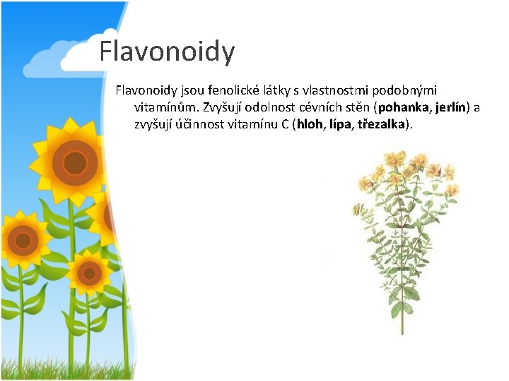 Flavonoidy jsou fenolické látky s vlastnostmi podobnými vitamínům. Zvyšují odolnost cévních stěn (pohanka, jerlín)