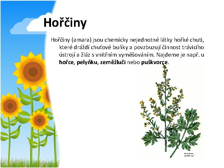 Hořčiny (amara) jsou chemicky nejednotné látky hořké chuti, které dráždí chuťové buňky a povzbuzují